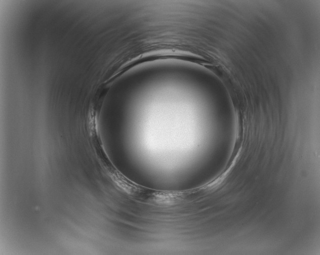 X0000073760190200608031544