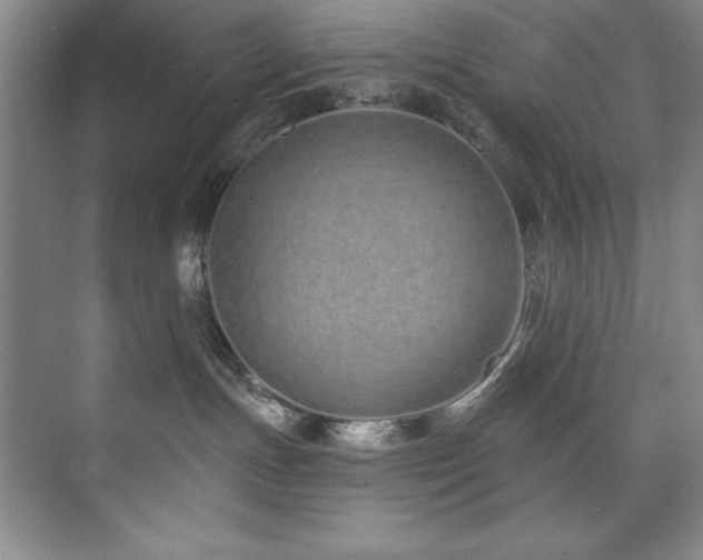 X0000073760191200608031544