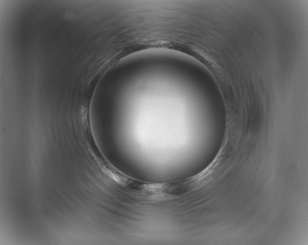 X0000073760192200608031544