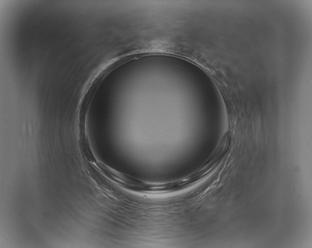 X0000073760200200608031543