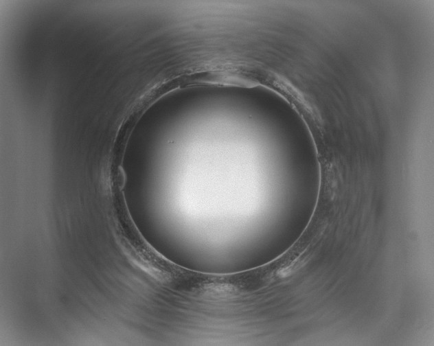 X0000073760203200608031543