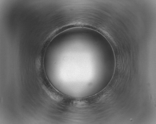X0000073760208200608031542