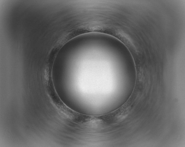 X0000073760210200608031542