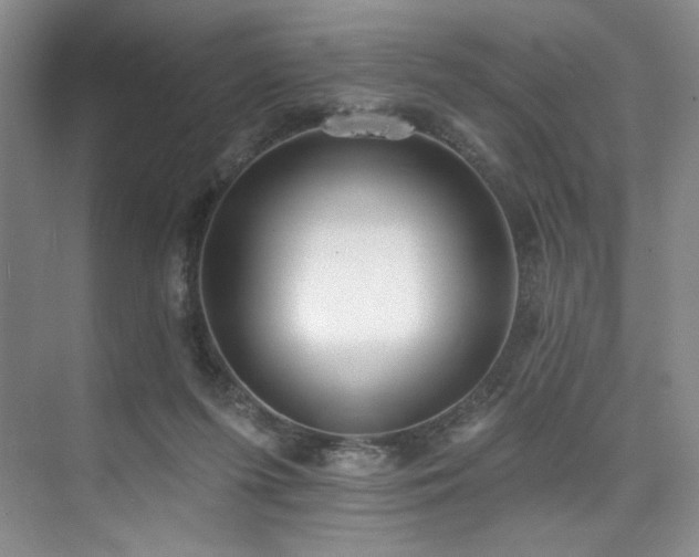 X0000073760215200608031542