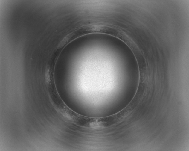 X0000073760216200608031542