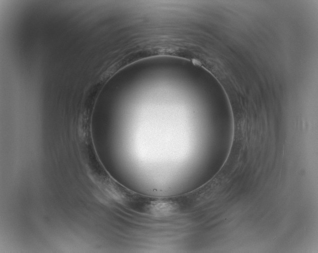 X0000073760218200608031542