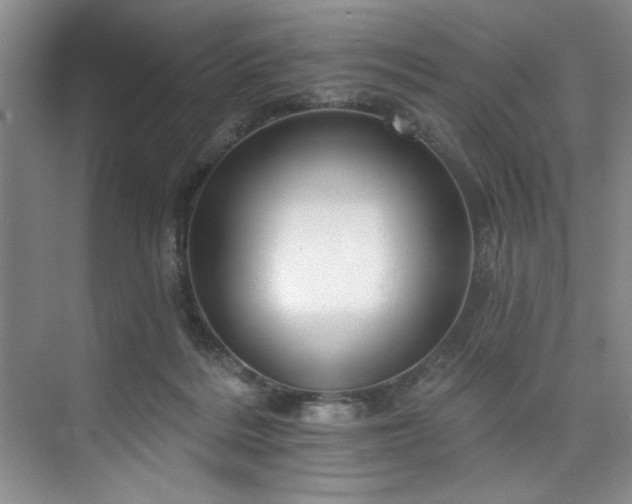 X0000073760220200608031542