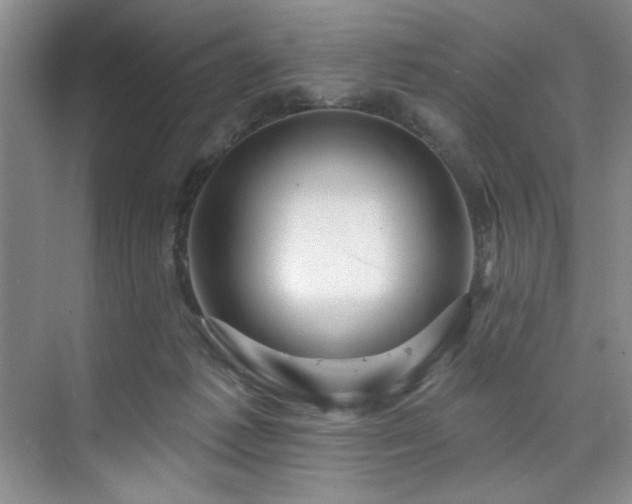 X0000073760221200608031542