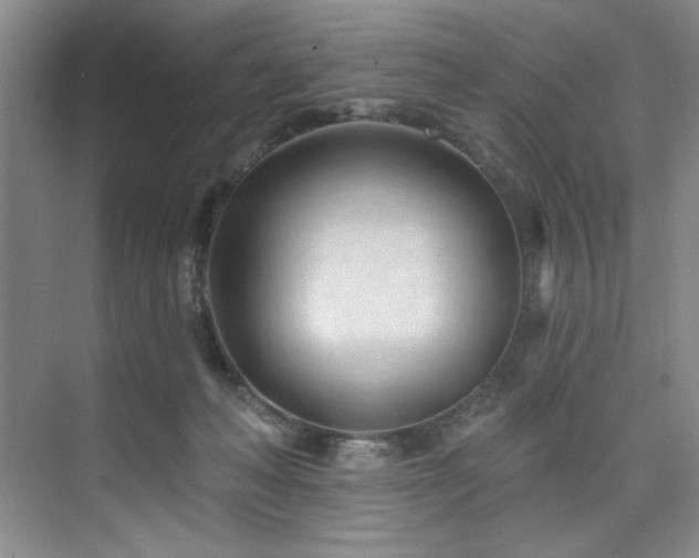 X0000073760222200608031542