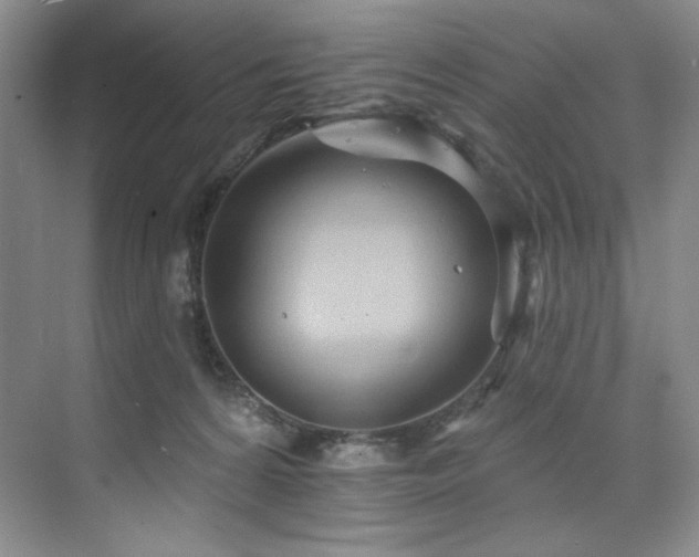 X0000073760224200608031542