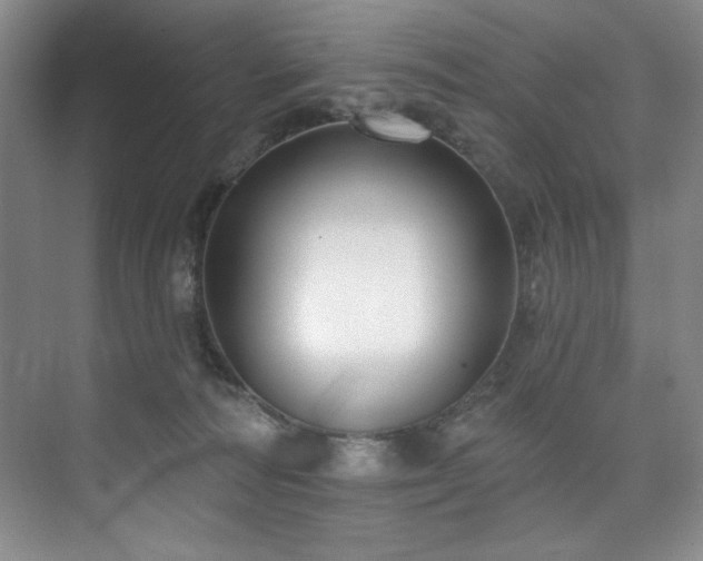 X0000073760226200608031542