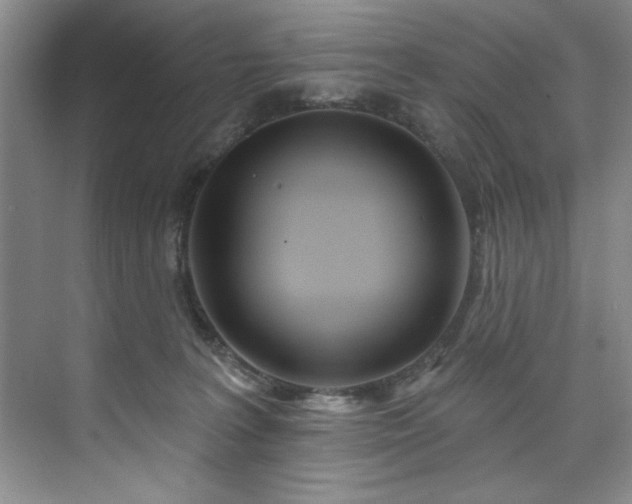 X0000073760227200608031542