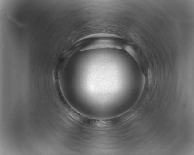 X0000073760229200608031542