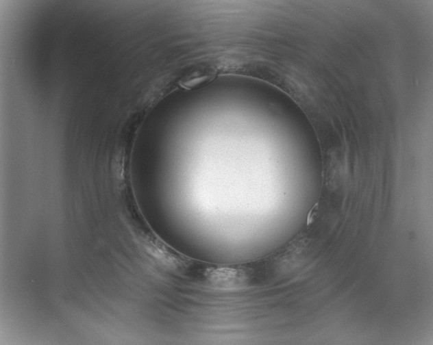 X0000073760230200608031542
