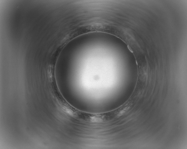 X0000073760232200608031542