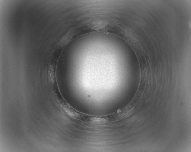 X0000073760234200608031542