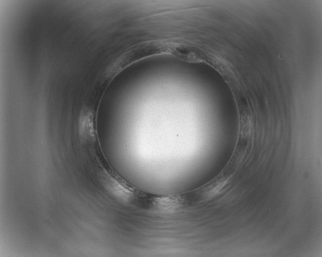 X0000073760238200608031542