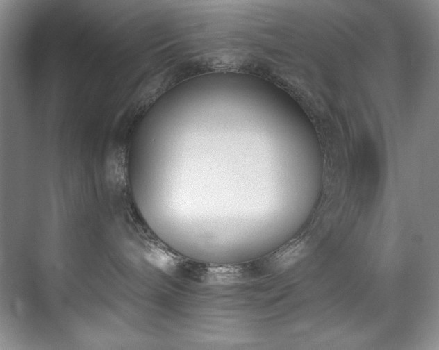 X0000073760240200608031542