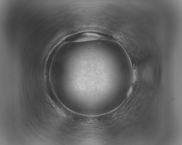 X0000073760243200608031541