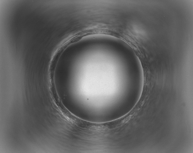 X0000073760245200608031541