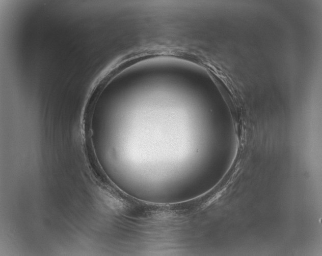 X0000073760246200608031541