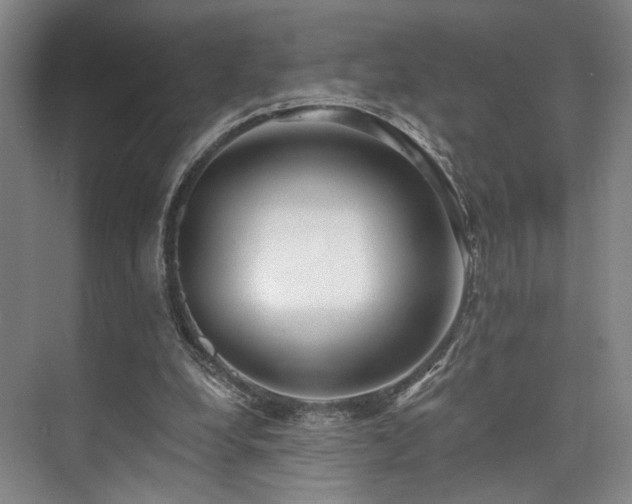 X0000073760248200608031541