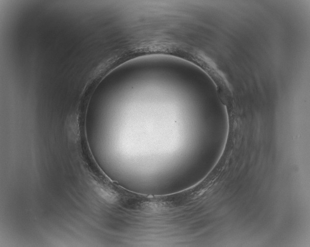 X0000073760250200608031541