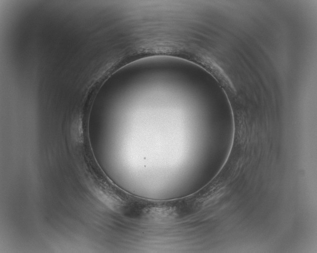 X0000073760251200608031541