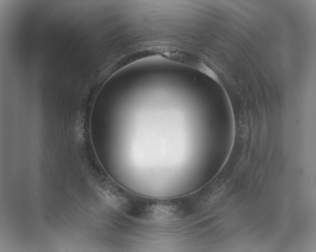 X0000073760255200608031541
