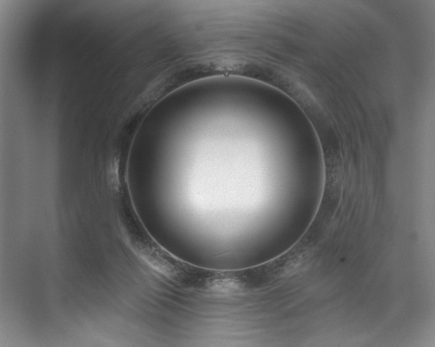 X0000073760262200608031541