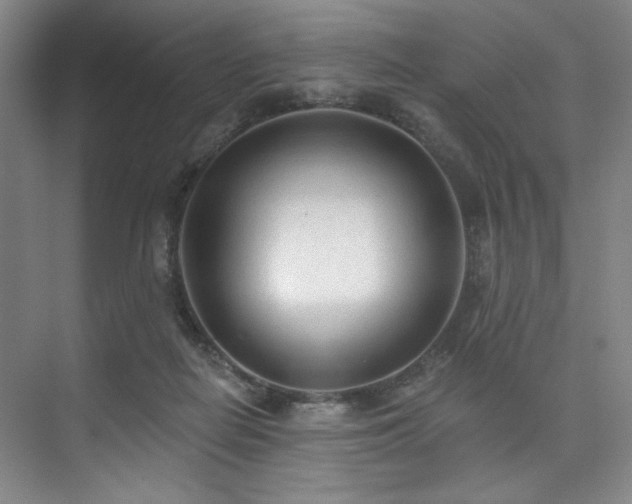 X0000073760266200608031542
