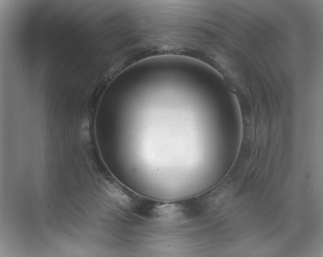 X0000073760269200608031542