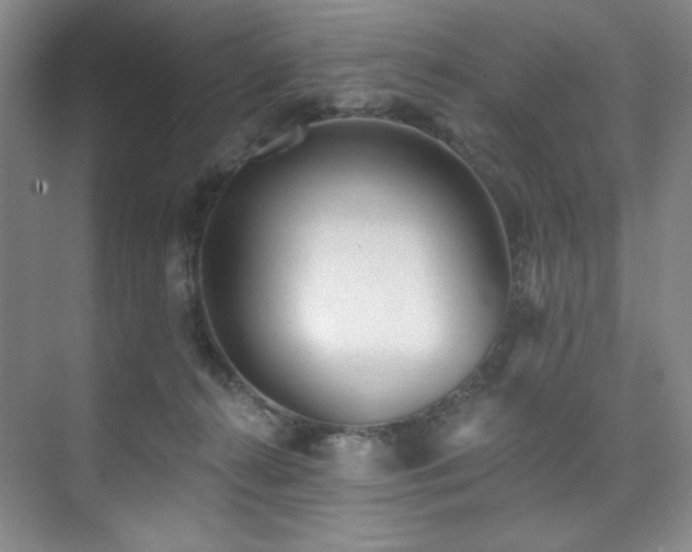 X0000073760272200608031542