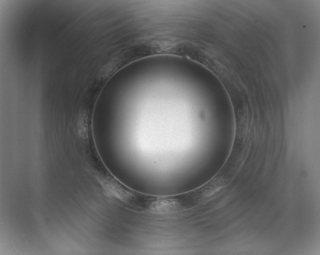 X0000073760274200608031542