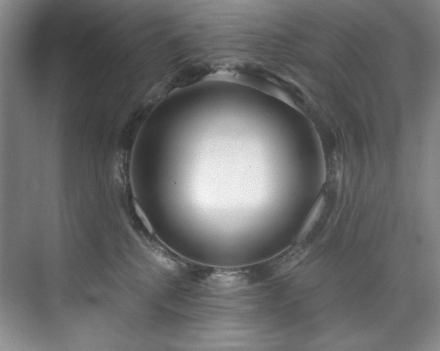 X0000073760280200608031542