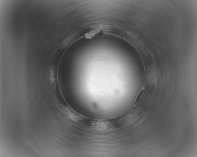 X0000073760282200608031542
