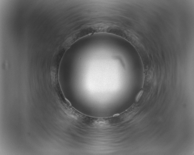 X0000073760283200608031542