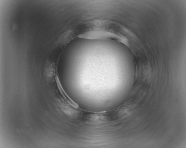 X0000073760284200608031542