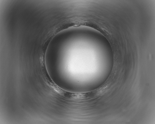 X0000073760288200608031542