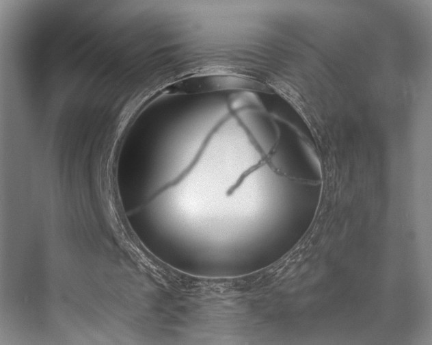 X0000073760289200608031541