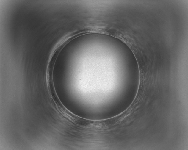 X0000073760294200608031541