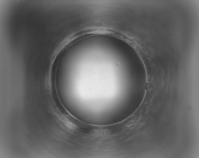 X0000073760296200608031541