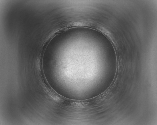 X0000073760297200608031541