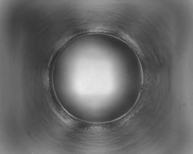 X0000073760298200608031541