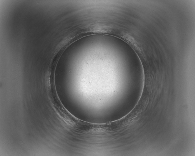X0000073760299200608031541
