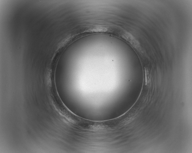 X0000073760300200608031541