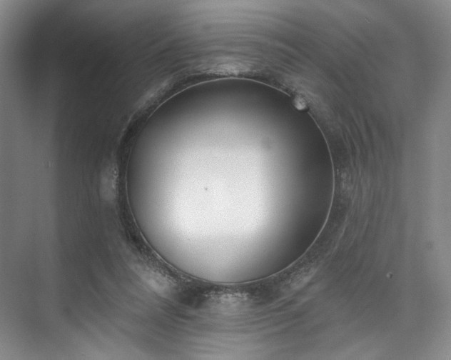 X0000073760304200608031541