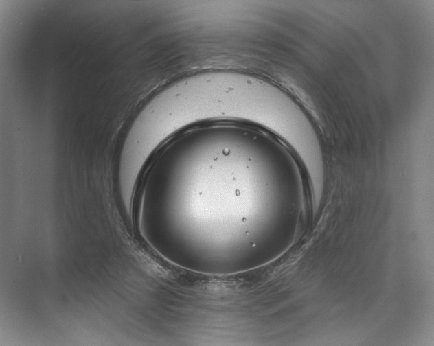 X0000073760305200608031541