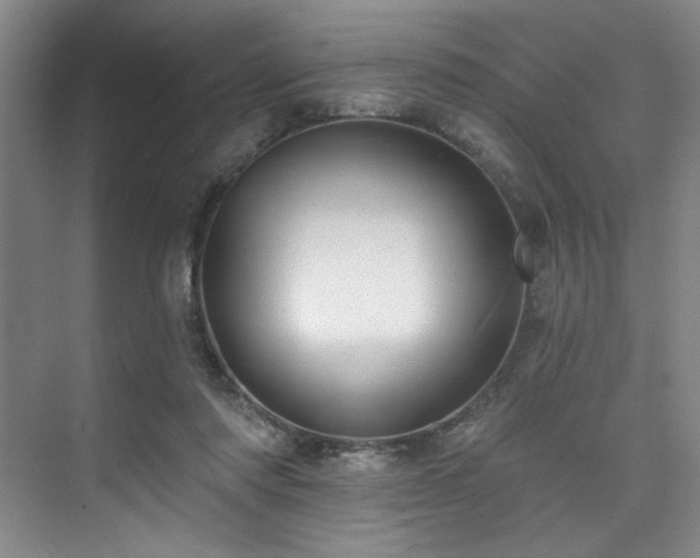 X0000073760310200608031541