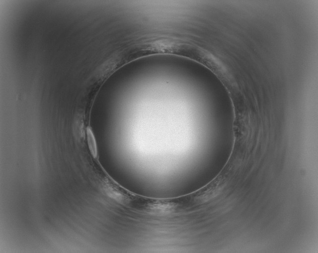 X0000073760313200608031541